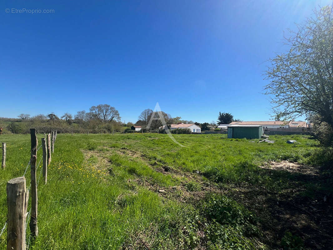 Terrain à SAINT-VINCENT-SUR-JARD