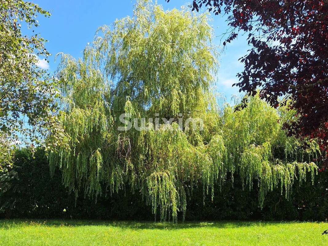 Bourgogne – Élégance contemporaine dans un écrin de nature préservé à proximité de Dijon et Beaune - photo 21