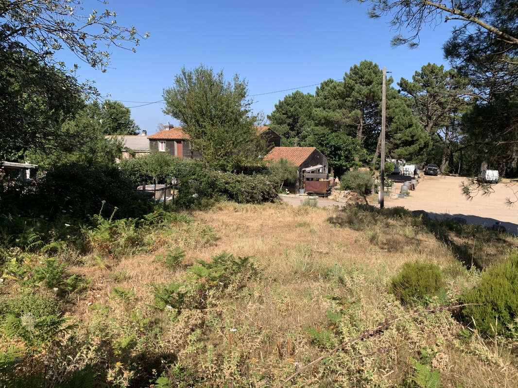 Terrain à bâtir à Cartalavone, commune de Porto-Vecchio - photo 9