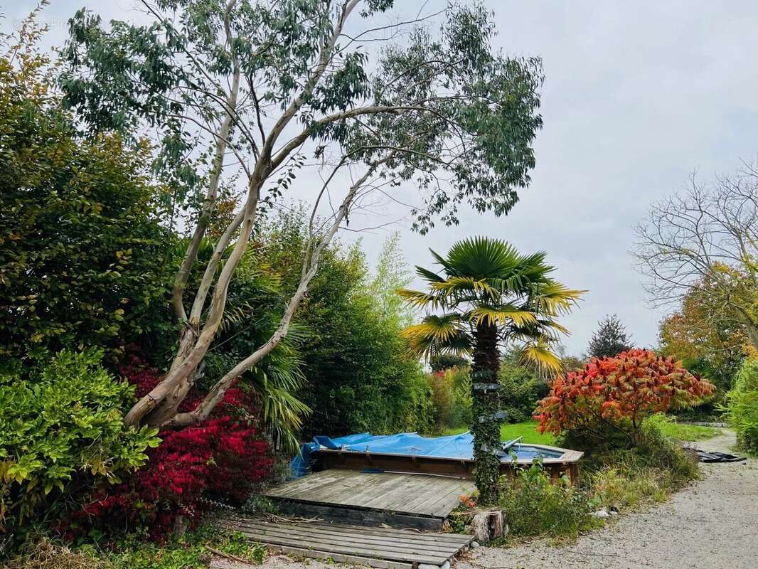 Maison à VERLINGHEM