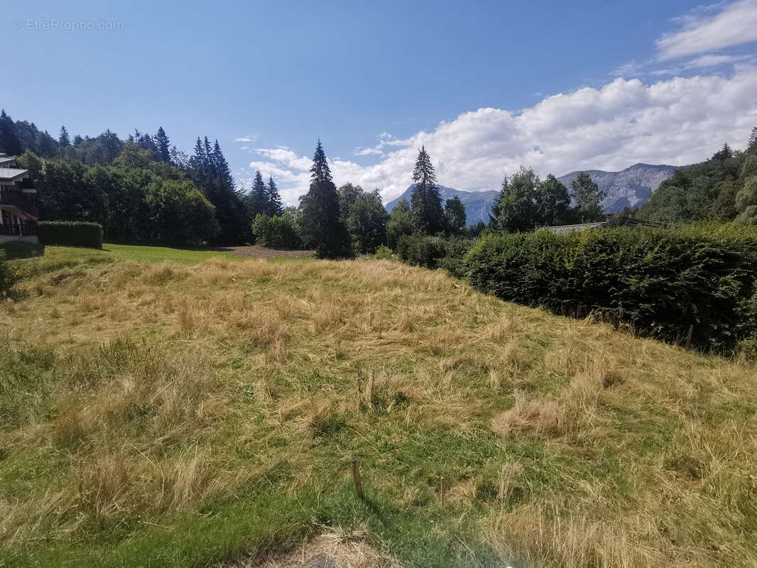 Terrain à ARACHES-LA-FRASSE