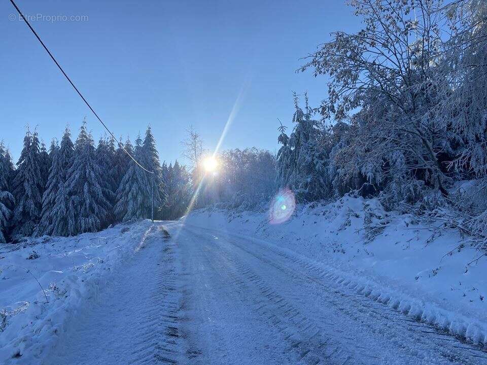 Maison à CHATEL-MONTAGNE