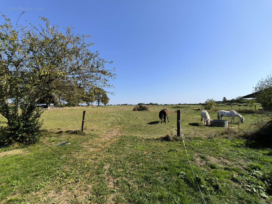 Maison à ARTANNES-SUR-INDRE