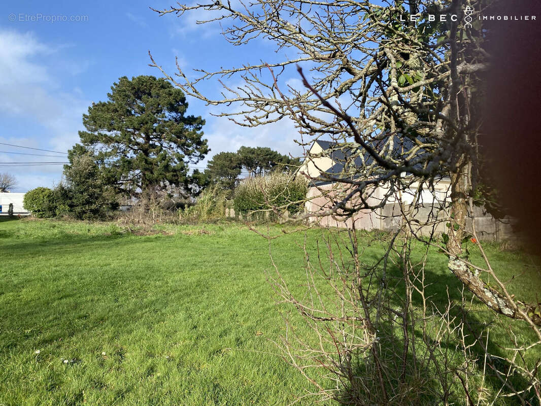 Terrain à SARZEAU