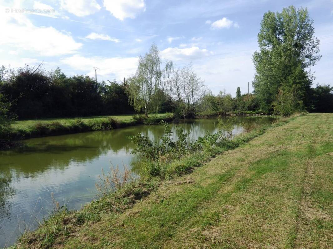 Terrain à VILLEREAU