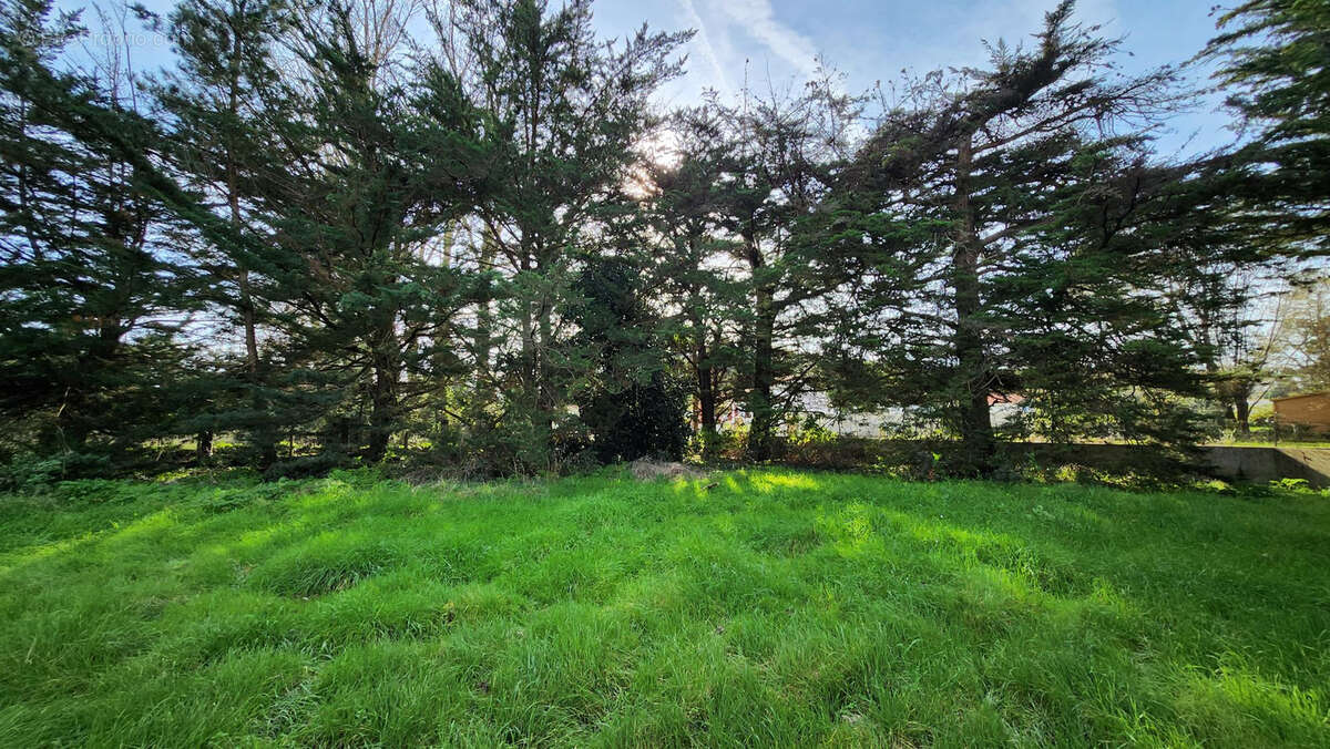 Terrain à SAINT-HILAIRE-DE-RIEZ