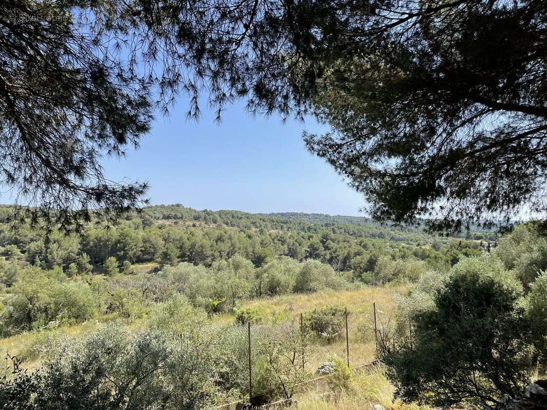 Villa piscine vue dégagée Castelnau-de-Guers 4 chambres - Maison à PEZENAS