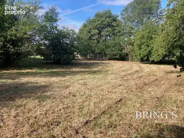 Terrain 813 m² à vendre à Elven (56250) - photo 4