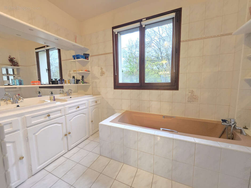 Maison à SAINT-FARGEAU-PONTHIERRY