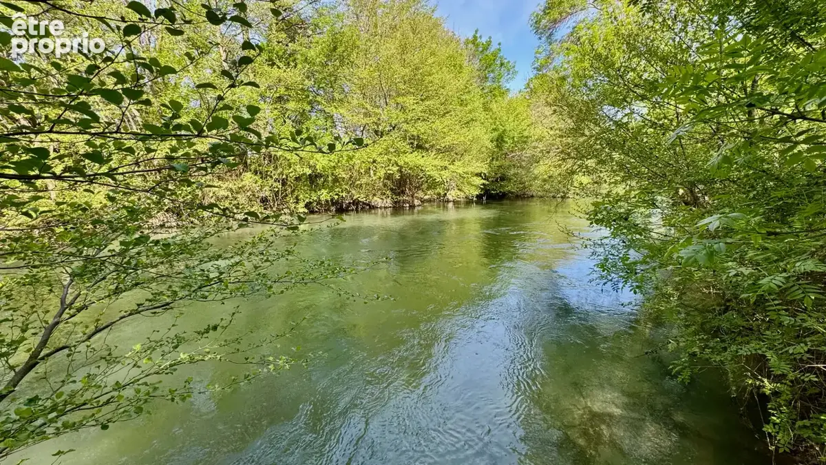 Demeure de prestige de 1200 m² sur 70 000 m² de terrain en bord de riviere. - photo 18