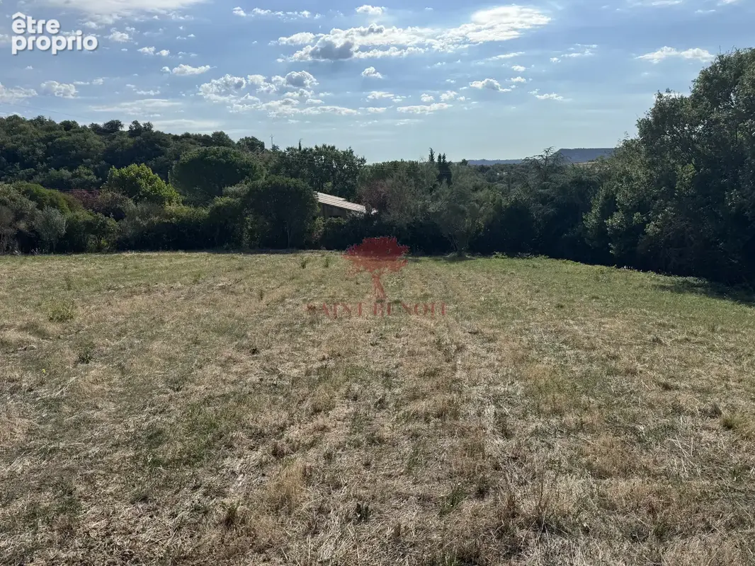 Loiras vente terrain a batir - photo 10