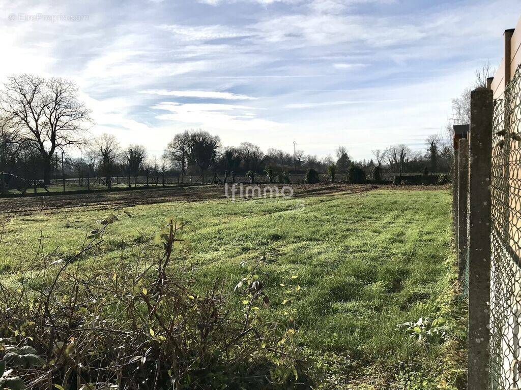 Terrain à DAUBENSAND