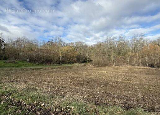 Terrain à REIMS