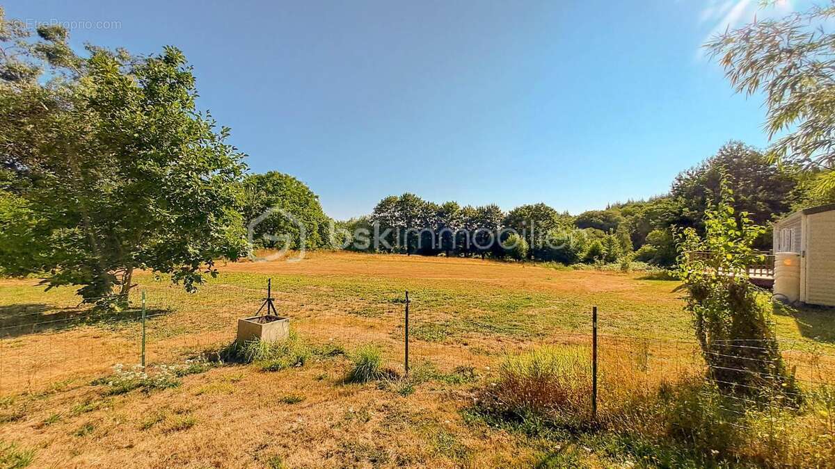 Domaine en pierre avec deux maisons – idéal gîte ou chambres d’hôtes – 354 m² – parc 7800 m² - photo 4