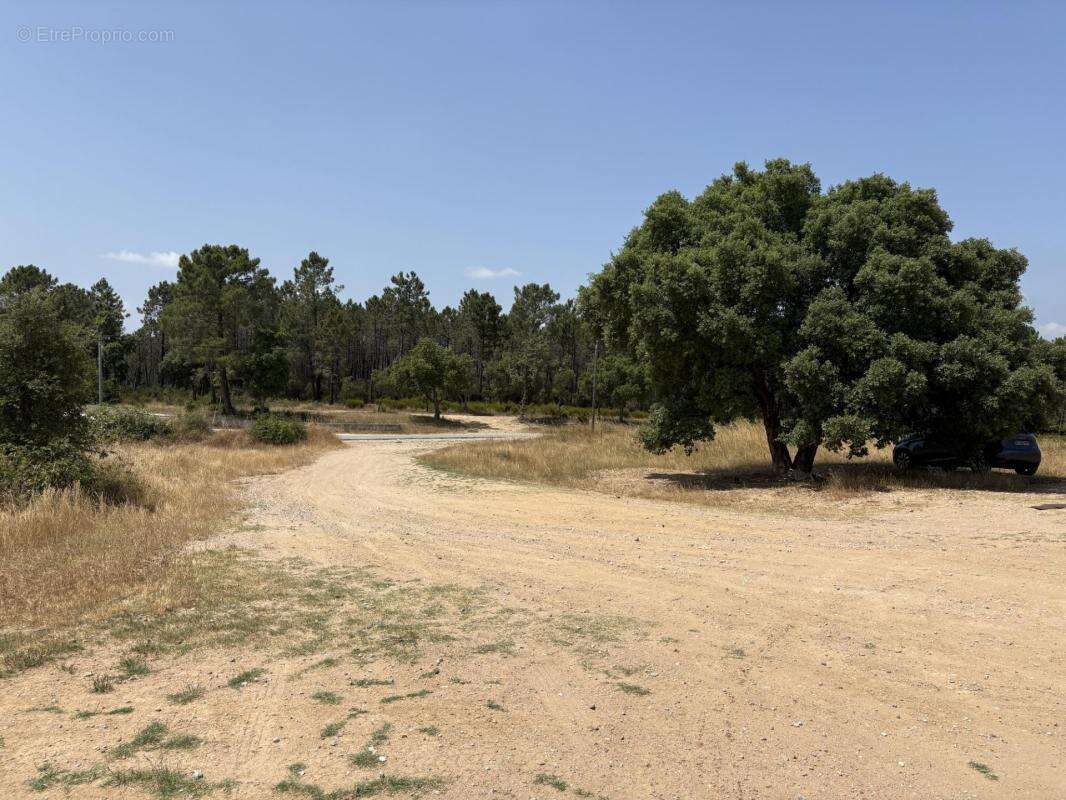 Terrain agricole et naturel - photo 10
