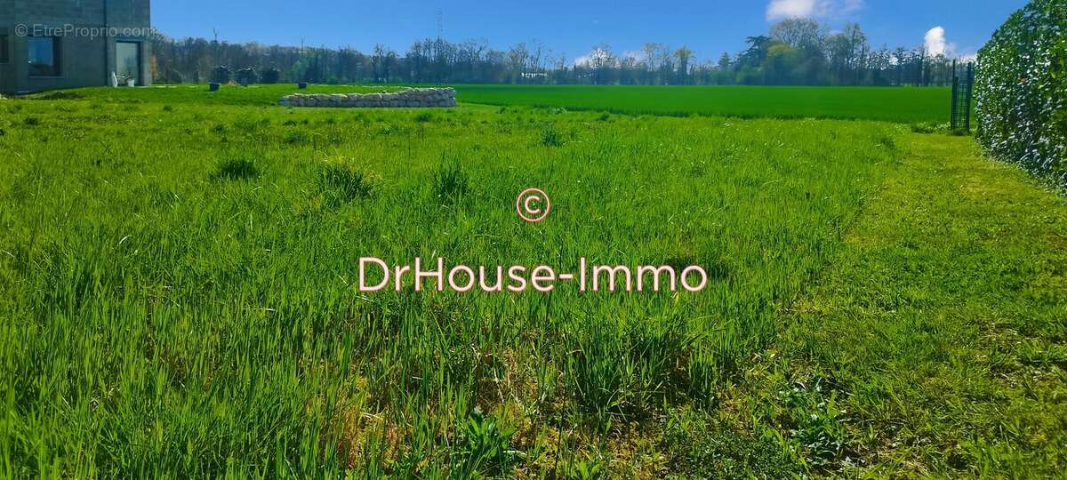 Terrain à SAINT-BERNARD