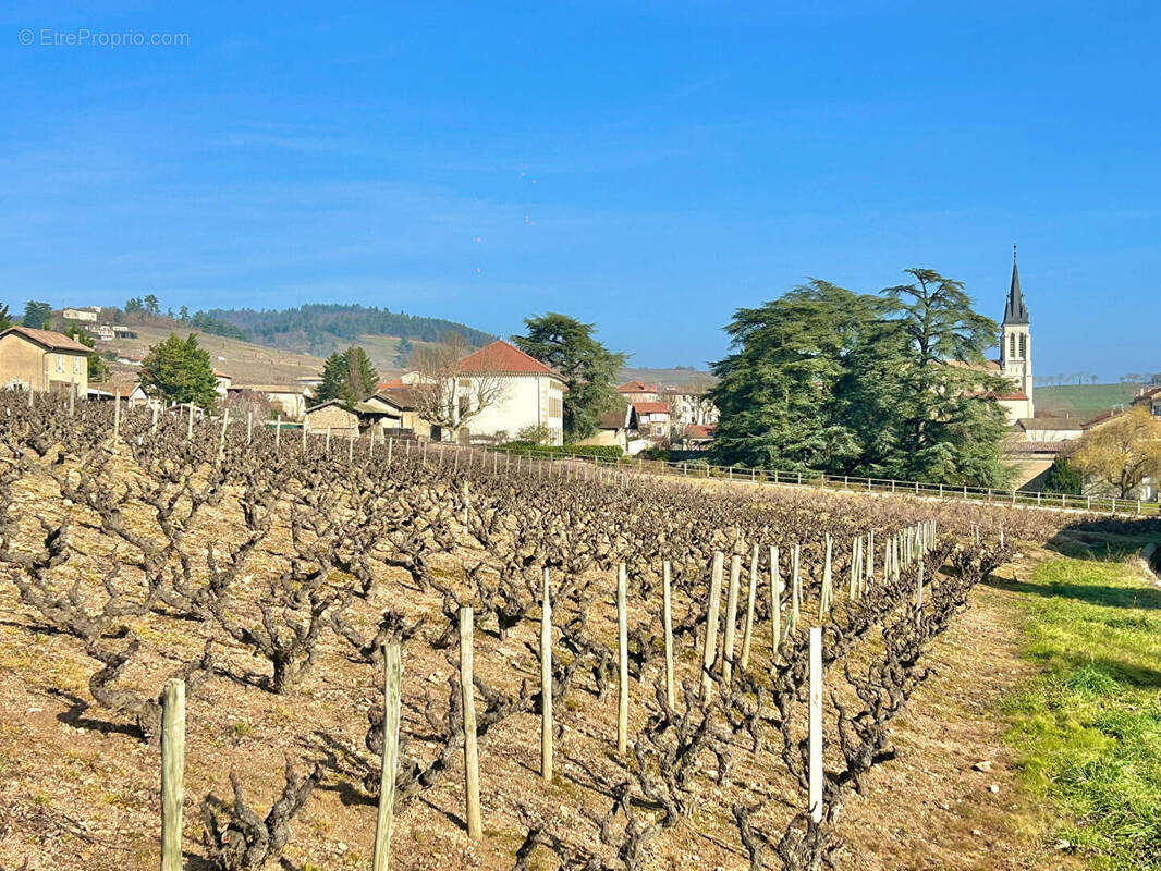 Maison à FLEURIE