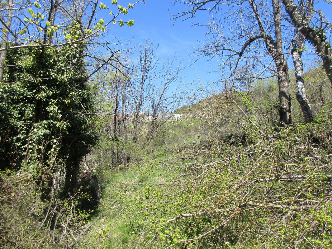 Terrain à SAINT-CREPIN