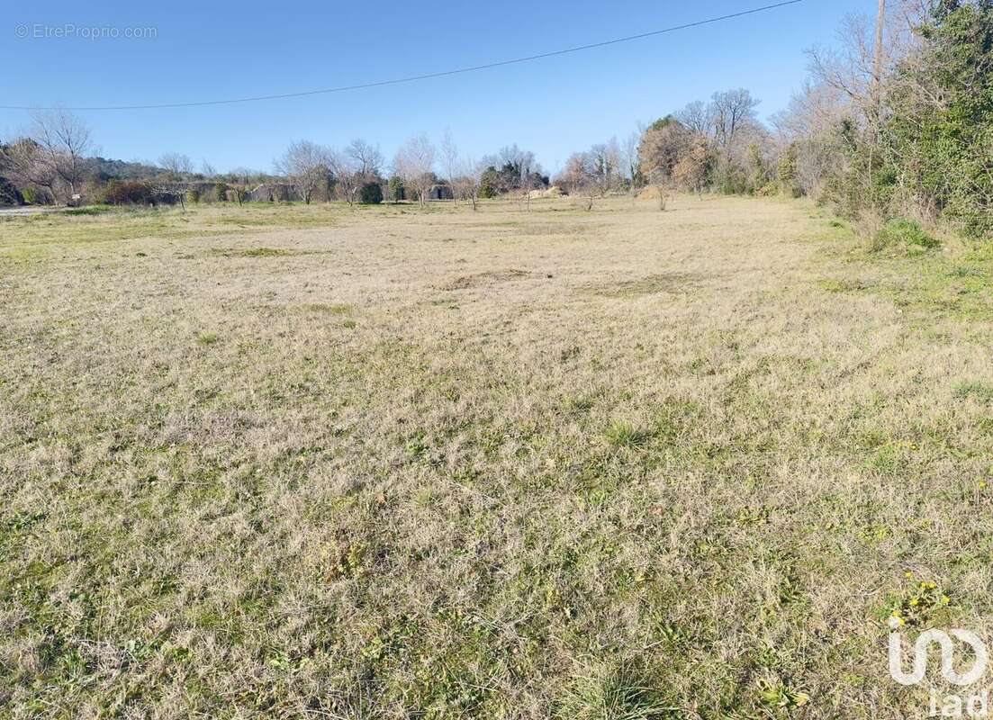 Photo 2 - Terrain à SAINT-ALEXANDRE