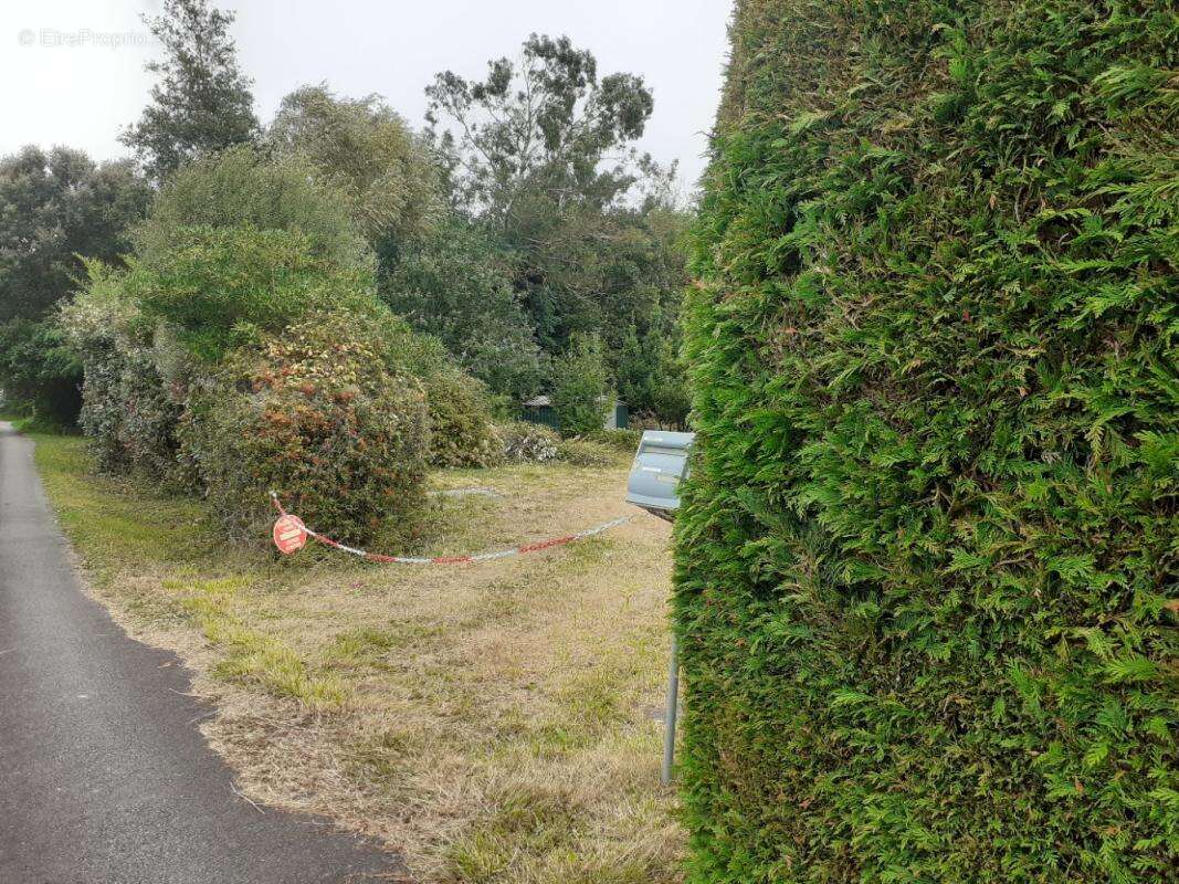Terrain constructible 1200 m² à TELGRUC (29 560) Presqu'île de Crozon - photo 5