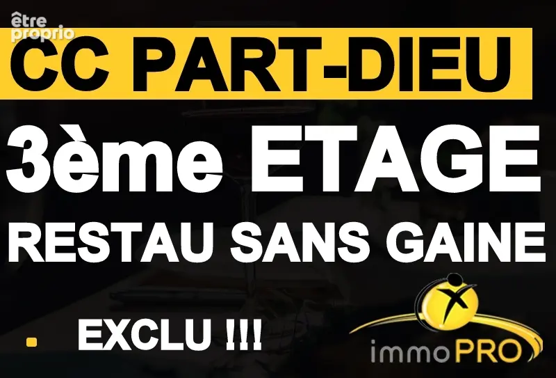 Commerce à LYON-3E