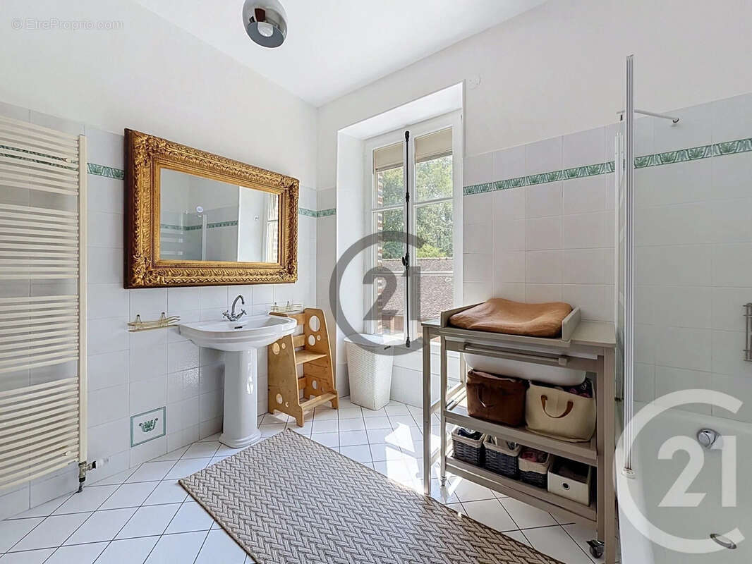 Maison 235 m² à Dierrey-Saint-Pierre  - photo 12