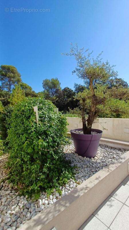 Appartement à JUVIGNAC