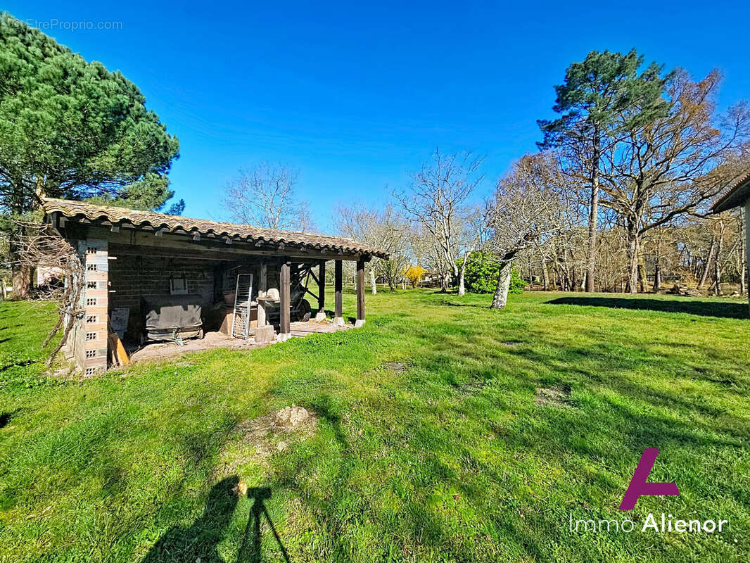 Terrain à BELIN-BELIET