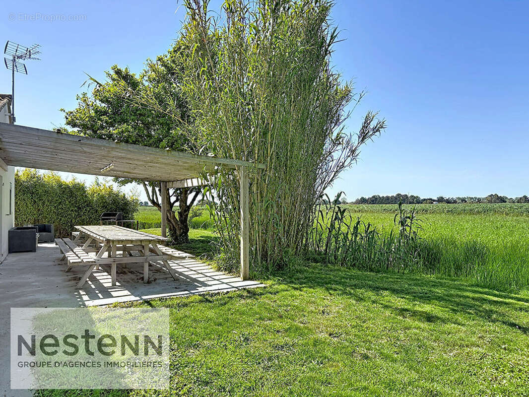 Ensemble immobilier à Beauvoir-sur-Mer Idéal projet familial ou gîtes - photo 20