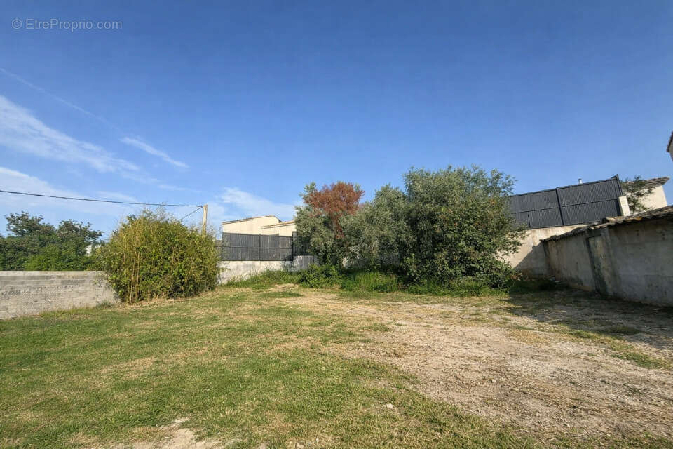 Terrain 605 m² à Vendemian  - photo 2