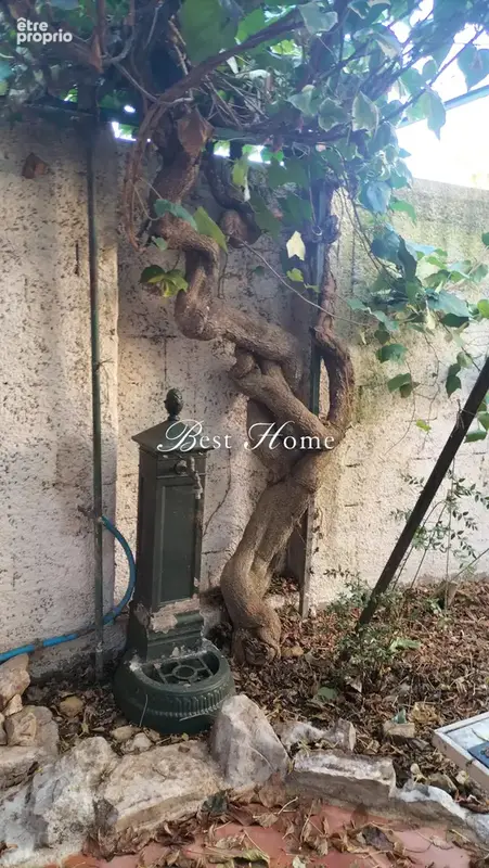  EXCLUSIVITE - Vente  Maison de ville NIMES avec jardin et garage- - photo 14