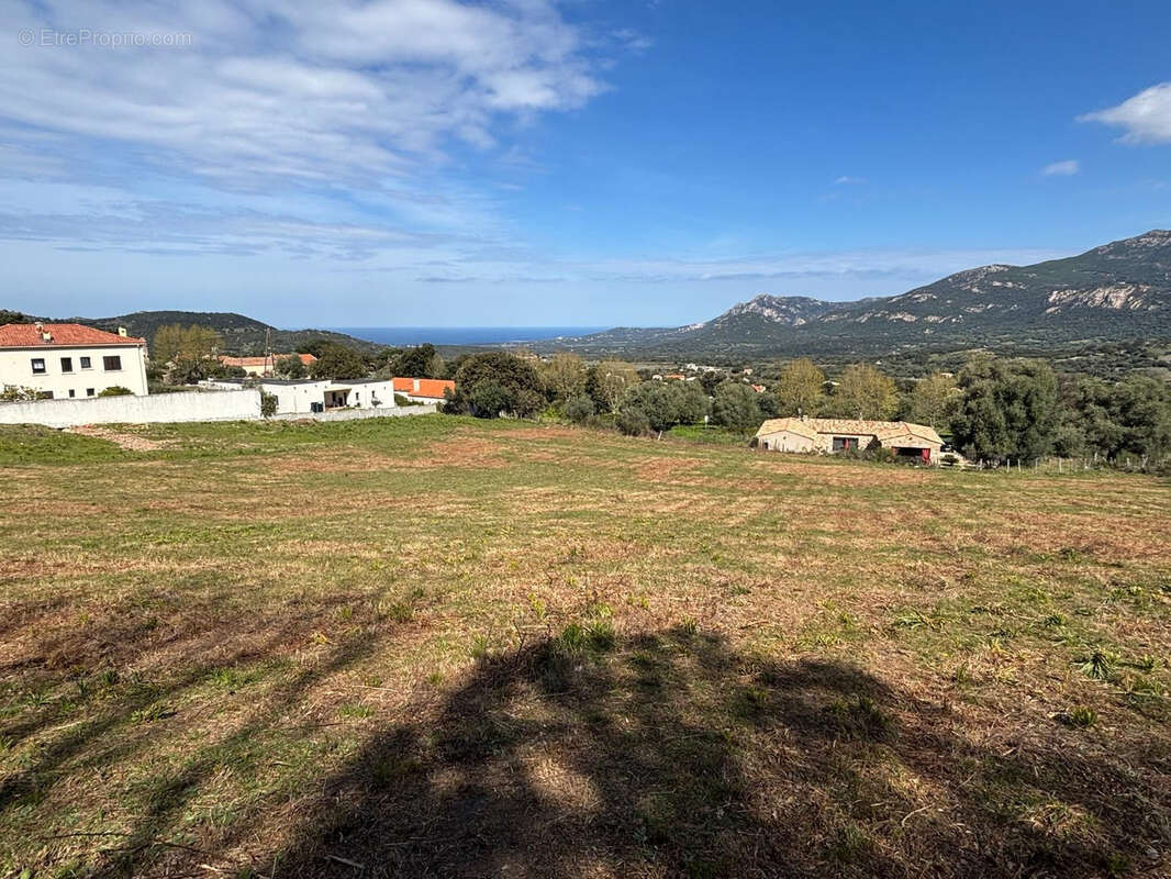 CALENZANA - Vente terrains à bâtir- Lotissement BIANCA - photo 2