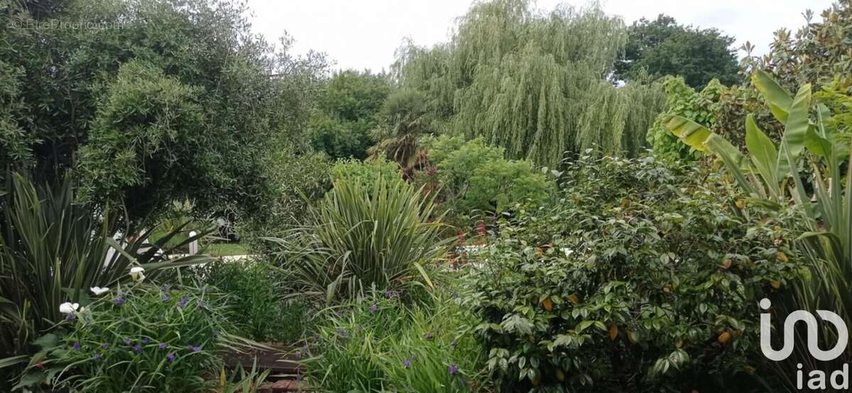 Photo 6 - Maison à GAILLAN-EN-MEDOC