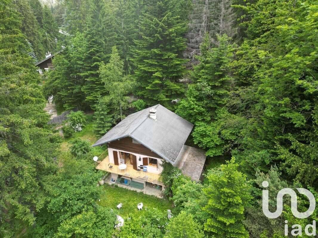 Photo 2 - Maison à SAINT-MARTIN-VESUBIE