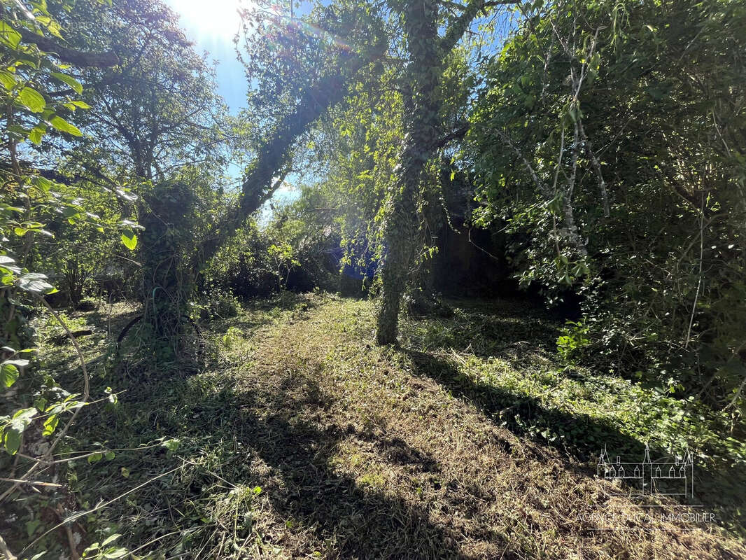 Terrain à SAINT-BENIN-D'AZY