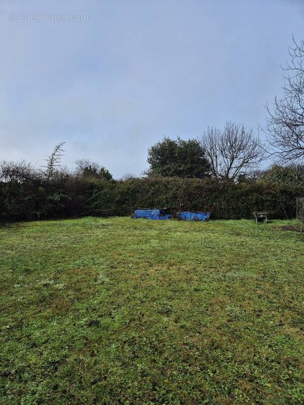 Terrain à CHATEAU-LARCHER