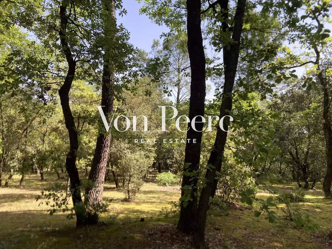 Proche Avignon - Villa provençale sur un terrain paysagé d’1 hectare, - photo 10