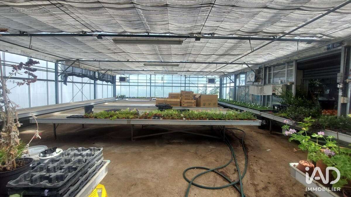 Photo 3 - Commerce à SAINT-MAGNE-DE-CASTILLON