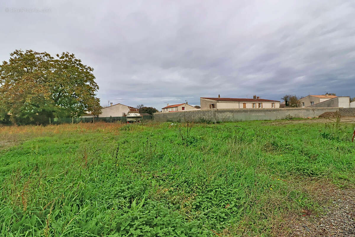 Terrain à SAINTE-SOULLE