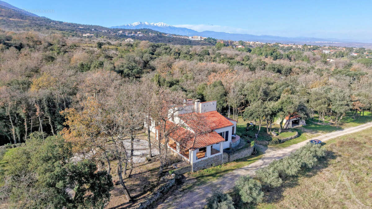 Maison à LAROQUE-DES-ALBERES