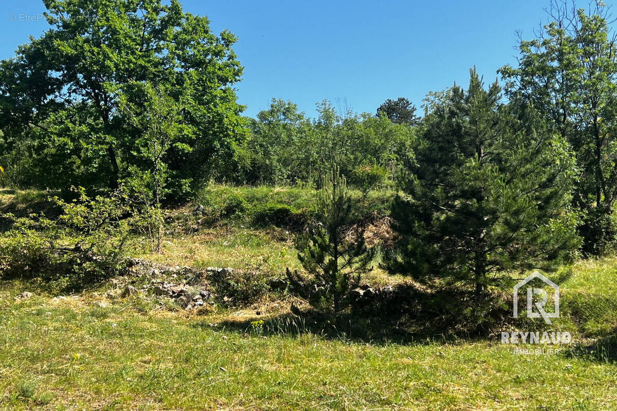 Terrain à SAINT-ETIENNE-DE-GOURGAS