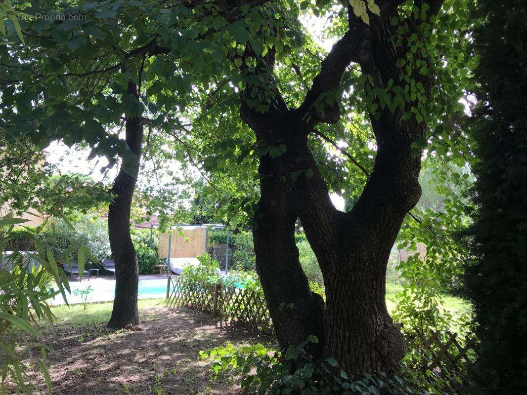 Maison à VAISON-LA-ROMAINE