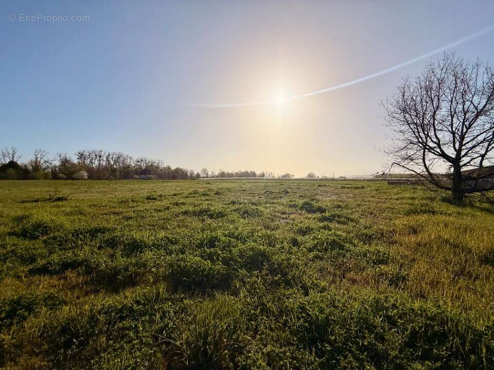 Terrain 949 m² à Lamonzie-Saint-Martin  - photo 3
