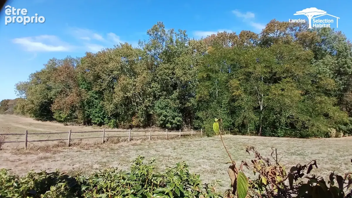 Propriété rurale de charme & dépendances sur 5 000 m² (+1,2 ha possible) - photo 22
