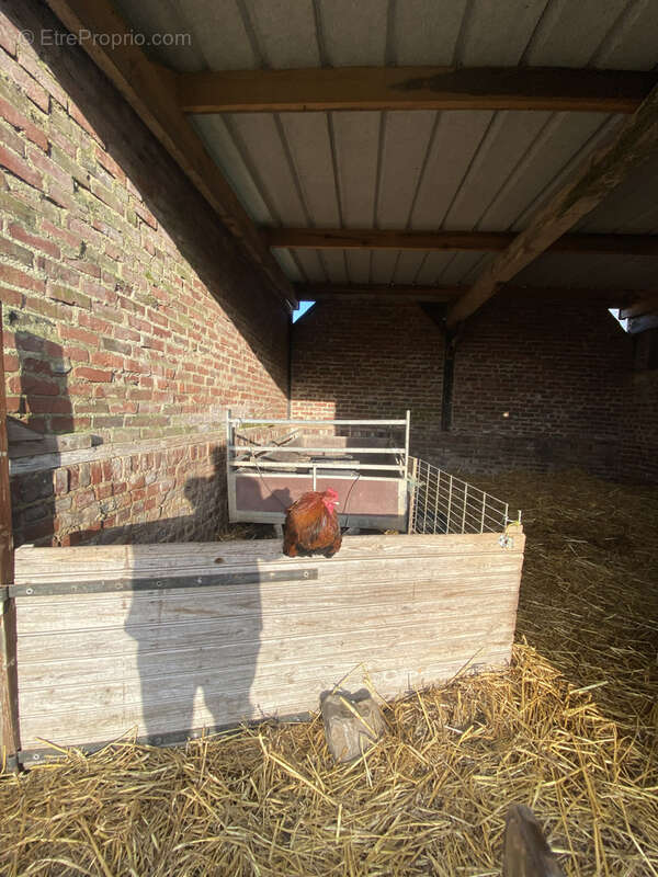 Maison à AVESNES-LE-COMTE