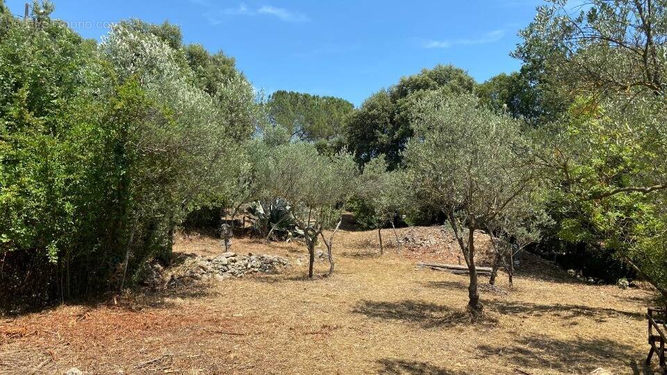 Terrain à CAMPS-LA-SOURCE