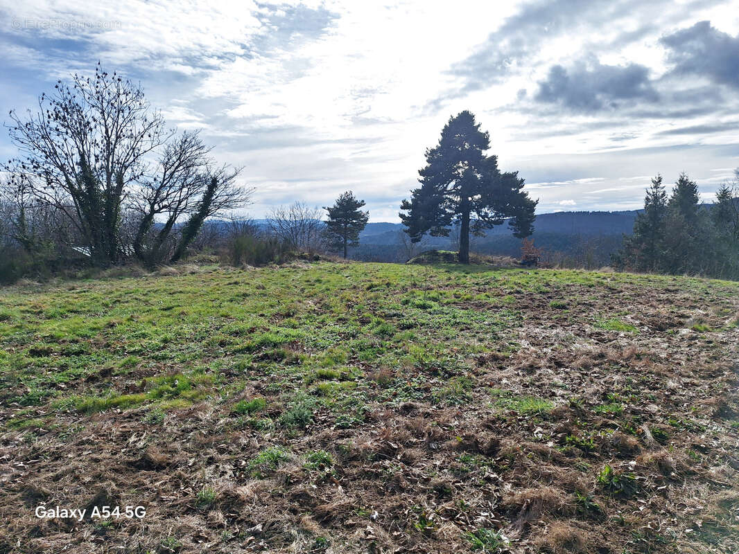 Terrain à SAINT-APOLLINAIRE-DE-RIAS
