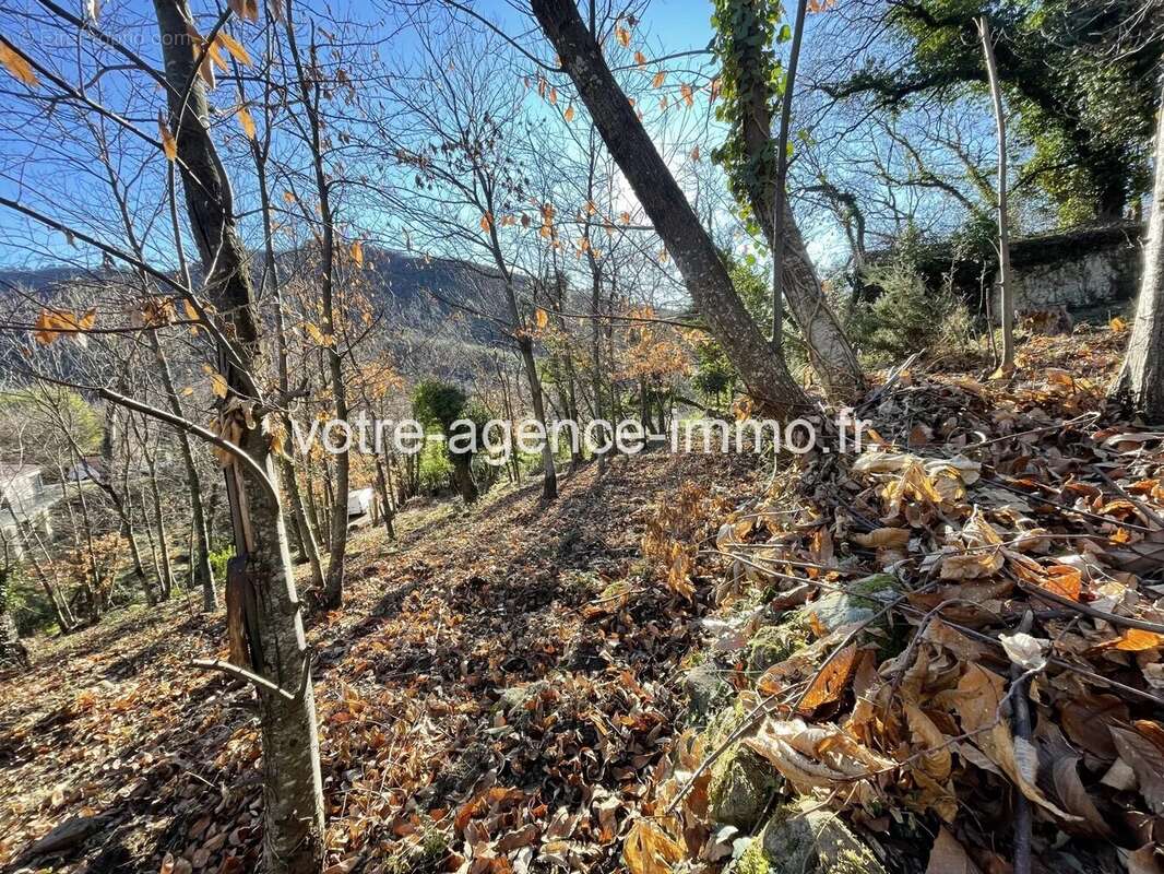Terrain à COARAZE