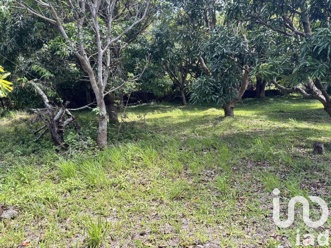 Photo 8 - Terrain à SAINT-PIERRE