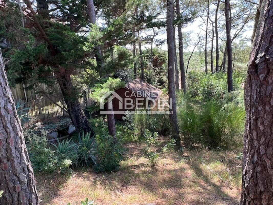 Maison à LEGE-CAP-FERRET